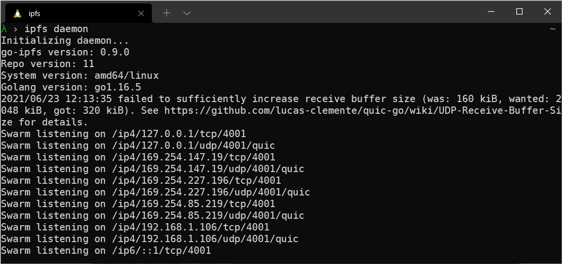 A terminal window running the IPFS daemon in Ubuntu.